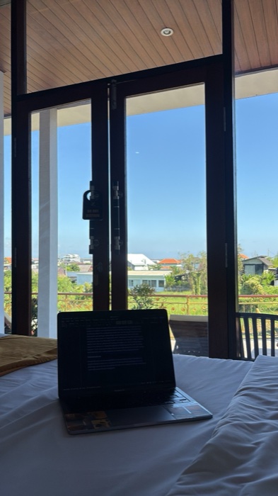 Working from a laptop with a view